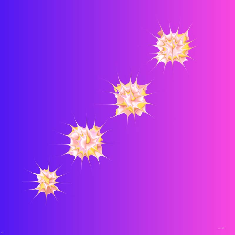 x164