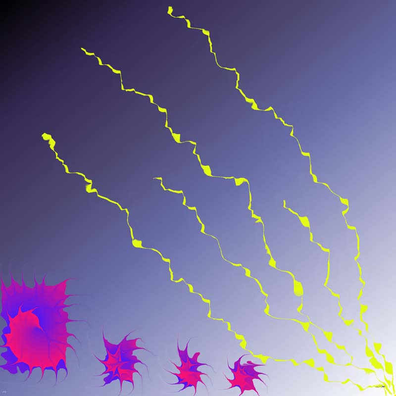 x172