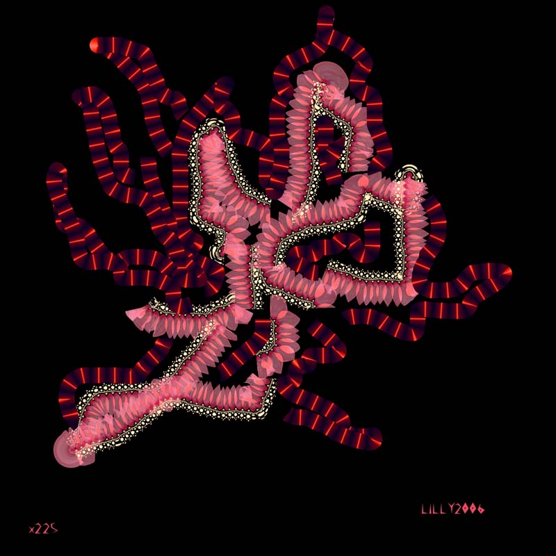 x225